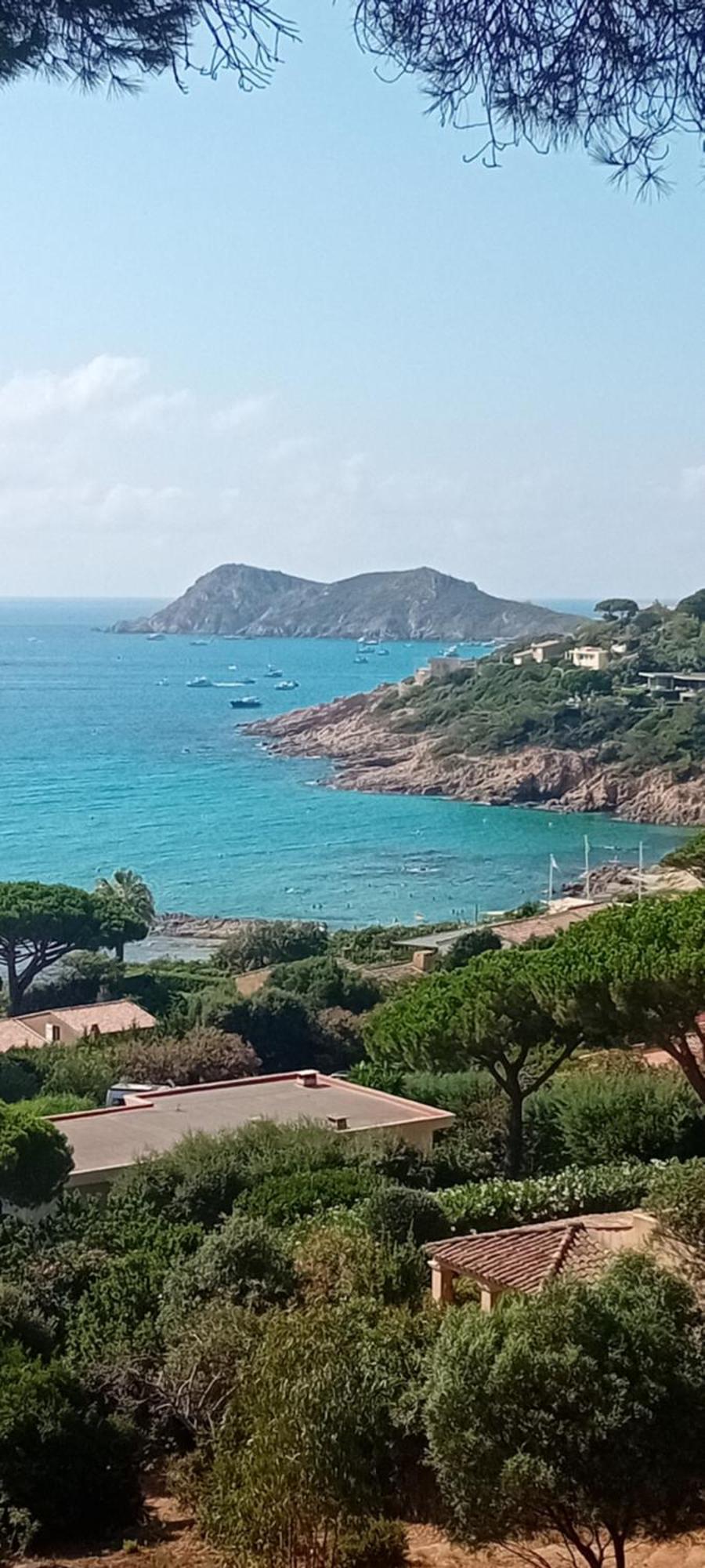 Appartement T2 A La Croix Valmer Piscine Et Tennis Buitenkant foto